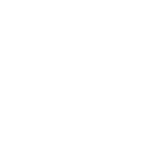 光尘顾问