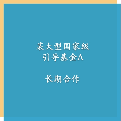 某大型国家级引导基金A