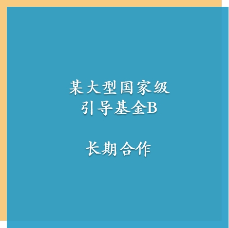 某大型保险资管机构B